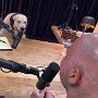 IMG_20260822_151825