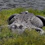 IMG_20260822_151838