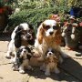 IMG_20260806_135511