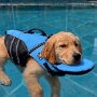 IMG_20260806_135658