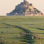 IMG_20260806_135715