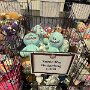 IMG_20260810_154830