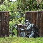 IMG_20260814_134638