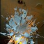 IMG_20260817_135926