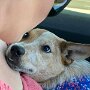 IMG_20260818_134725