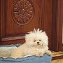IMG_20260818_134827