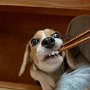 IMG_20260818_134853