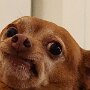 IMG_20260818_134922