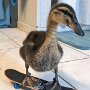 IMG_20260818_135012