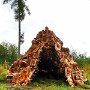 IMG_20260819_135740