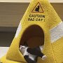 IMG_20261017_141019