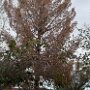IMG_20261011_085826