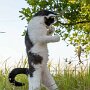 IMG_20261013_153219