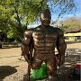 IMG_20260407_064639