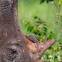 IMG_20260415_081713