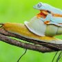 IMG_20260417_070455