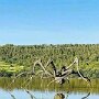 IMG_20260417_070513
