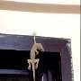 IMG_20260418_083547