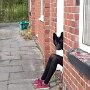 IMG_20260421_070723