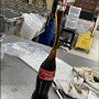 IMG_20260423_065512