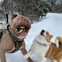 IMG_20260428_064836