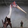 IMG_20260603_065640