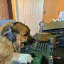 IMG_20260603_065909
