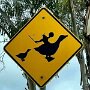 IMG_20260605_083316