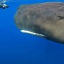 IMG_20260615_071225
