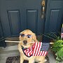 IMG_20260707_071751