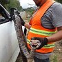 IMG_20260708_071615