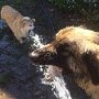 IMG_20260717_074953