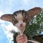 IMG_20260717_075035