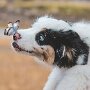 IMG_20260723_064929
