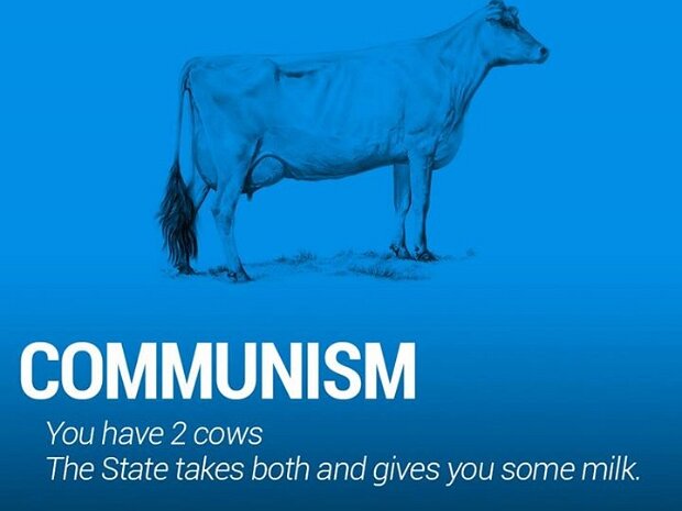 Cows_On_The_Economy